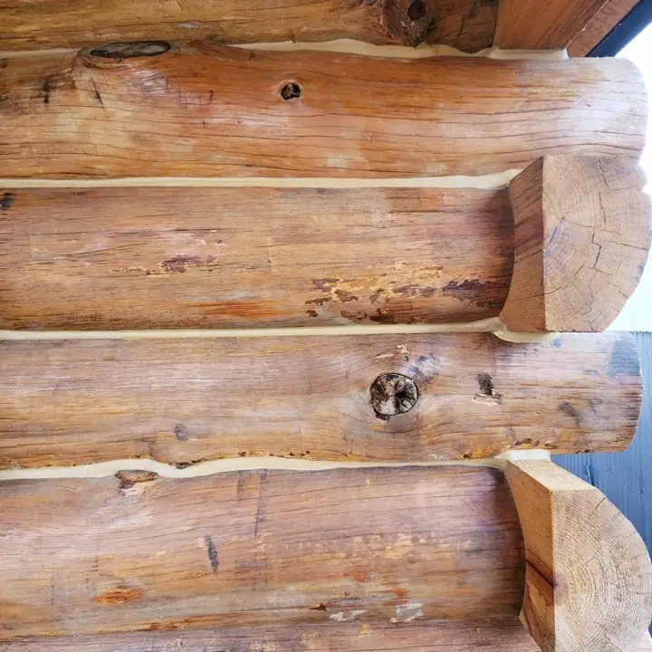 Close-up of a stacked solid-log wall and corner