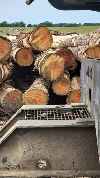 Stacked peeled logs at the shop